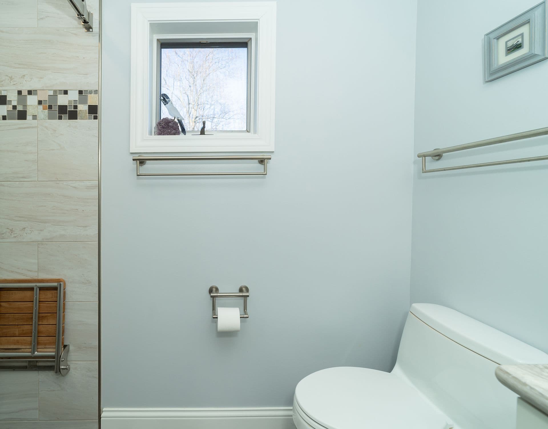 Grab Bars